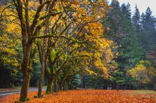 Humboldt State Park-1747.jpg Humboldt State Park-1747.jpg